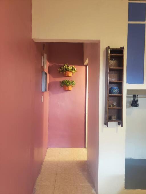 Om Studio Oaxaca Buitenkant foto